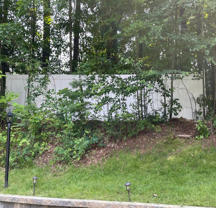 Vinyl Fence Installation in Manchester, NH