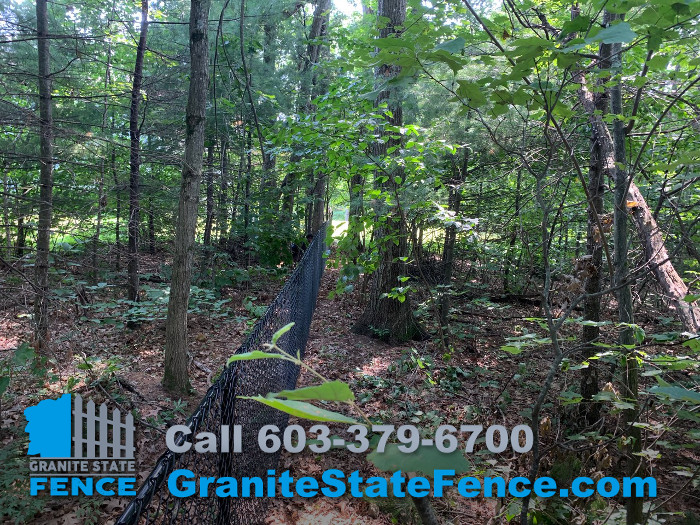 Chain Link Fence / Fencing for Pets in Derry, NH | Granite State Fence